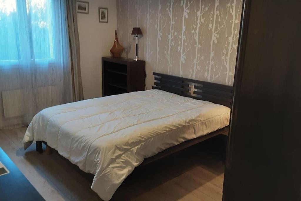 Grand T1 Meuble Διαμέρισμα Saint-Flour  Εξωτερικό φωτογραφία